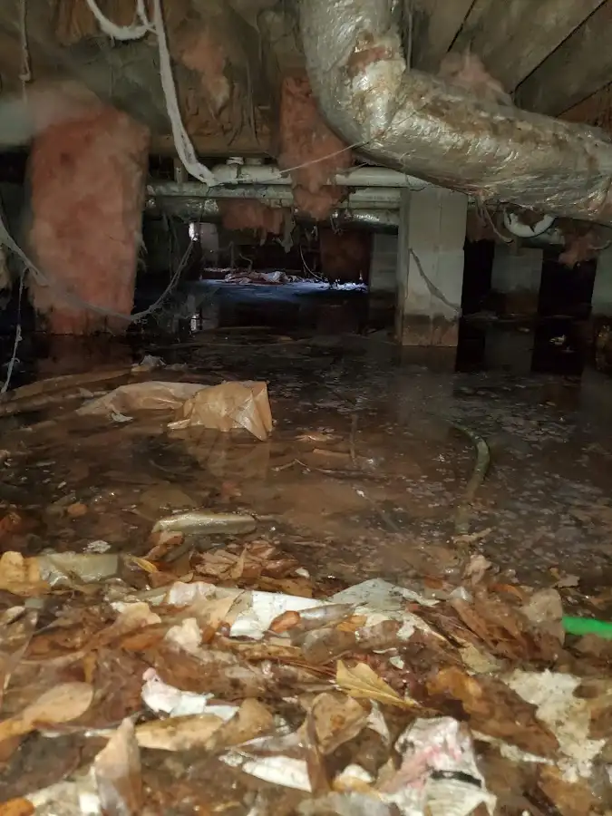 Crawl space flood assessment for Commercial Water Damage Restoration in South Brooksville