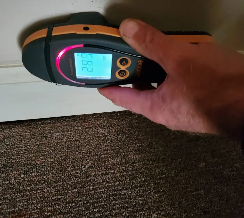 Moisture detection at baseboard during Sewage Cleanup & Sanitation in South Brooksville